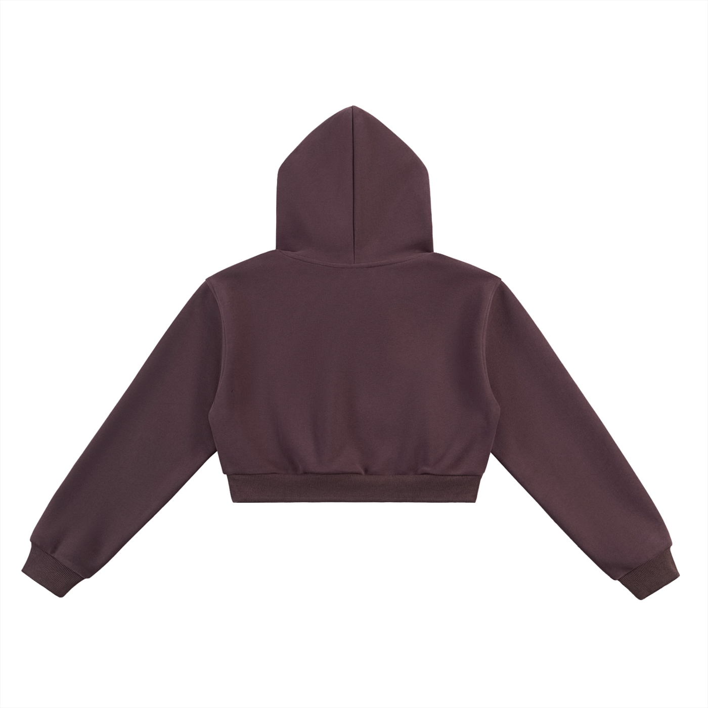 Physical Dept. Cropped Hoodie