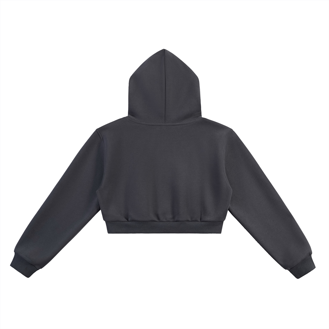 Physical Dept. Cropped Hoodie